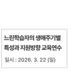 느린학습자의 생애주기별 특성과 지원방향 교육연수
