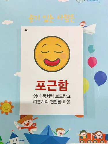 다정다감공감학교 감정카드 교육용카드(대)